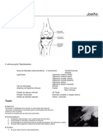 APOSTILA - Cinesioterapia - Mobilização Articular Joelho e Perna