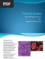 Tincion Gram by Karina Y.....