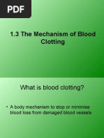 1.3 The Mechanism of Blood Clotting