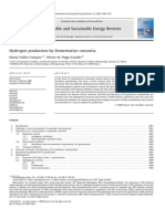 Hydrogen Production by Fermentative Consortia - Valdez-Vazquez