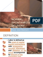 Normal Spontaneous Delivery: Reyes, Janyn Marione A