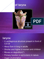 Anatomy of Larynx