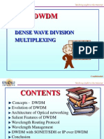 2 DWDM Glownet 91 Slide