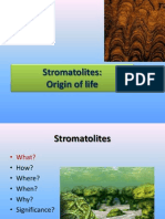 Stromatolites: Origin of Life