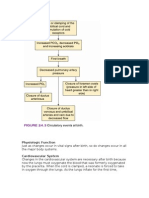 Newborn Respiration