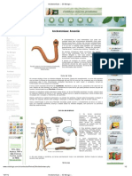 Ancilostomíase - Só Biologia