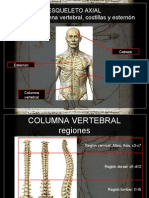 Aparato Locomotor