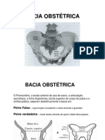 Bacia Obstetrica