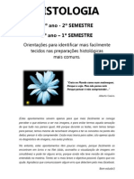 Apontamentos para As Práticas de Histologia - Mónica Santos