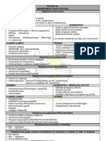 Bacteriologia Clinica: Principales Puntos de Estudio (Cuadro Resumen)