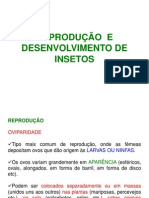 Reprodução e Desenvolvimento de Insetos