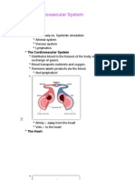 The Equine Cardiovascular System