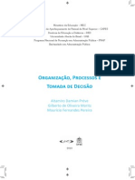 Org - Processos.tomada Decisao