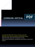 Dimension Vertical