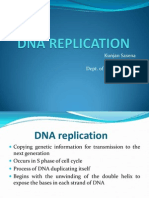 DNA Replication