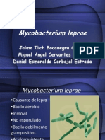 Mycobacterium Leprae