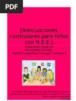 Adecuaciones Curriculares para Niños Con N.E.E.