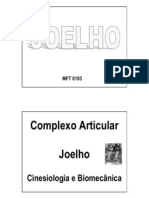 Biomecanica Do Joelho