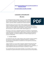 Causas de La Contaminación Del Agua