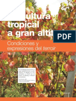 Viticultura Tropical A Gran Altitud. Condiciones y Expresiones Del Terroir