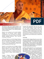 Namkhai Nyingpo Rinpoche - Brochure