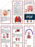 Triptico Sistema Respiratorio