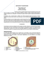 Apunte 3 - Gestacion y Placentacion