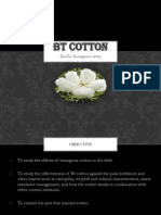 Bacillus Thuringiensis Cotton BT Cotton