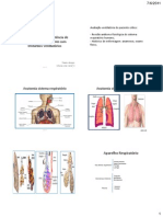 1.1 Revisão Anatomia e Fisiologia