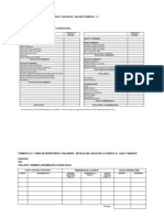 Formato 3 - Libro de Inventarios y Balances