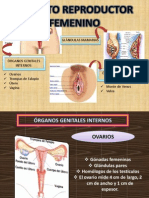 Aparato Reproductor Masculino y Femenino, y Herencia