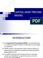 Capital Asset Pricing Model