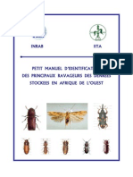 Ravageurs Des Denrées Stockées en Afrique de L'ouest 2005