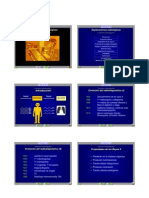 Fundamentos Del Diagnostico Por Imagen