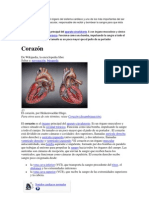 El Corazón Es El Principal Órgano Del Sistema Cardiaco y Uno de Los Más Importantes Del Ser Humano (Autoguardado)