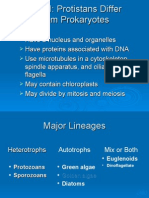 Viruses, Protists Part III)