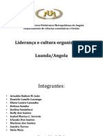 Liderança e Cultura Organizacional