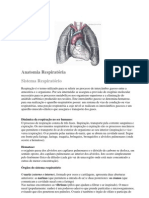 Anatomia Respiratória