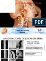 Articulaciones de La Cabeza Ósea