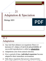 Adaptations and Speciation