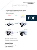 Neuroanatomia Aspectos Introdutorios