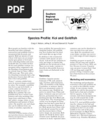 Species Profile Koi and Goldfish