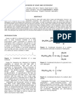 Synthesis of Soap Detergent