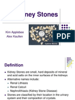 Kidney Stone