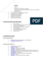 Características Dos Insetos