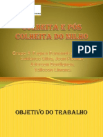 Trabalho Colheita e Pós Colheita de Milho