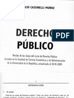 Derecho Publico Cassinelli Cap 1 A 4