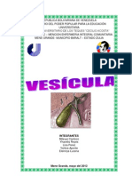 Trabajo de Vesicula