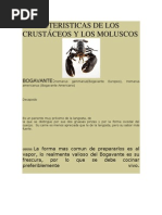 Caracteristicas de Los Crustáceos y Los Moluscos