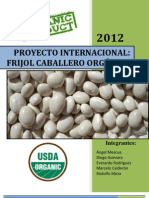 Formulación de Proyectos Inter. - Frijo Caballero